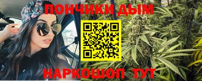 крисы Ирбит