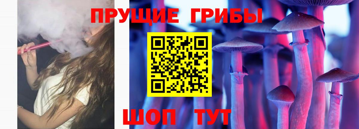 Кузнецк  Галлюциногенные грибы GOLDEN TEACHER  Вход с VPN 
